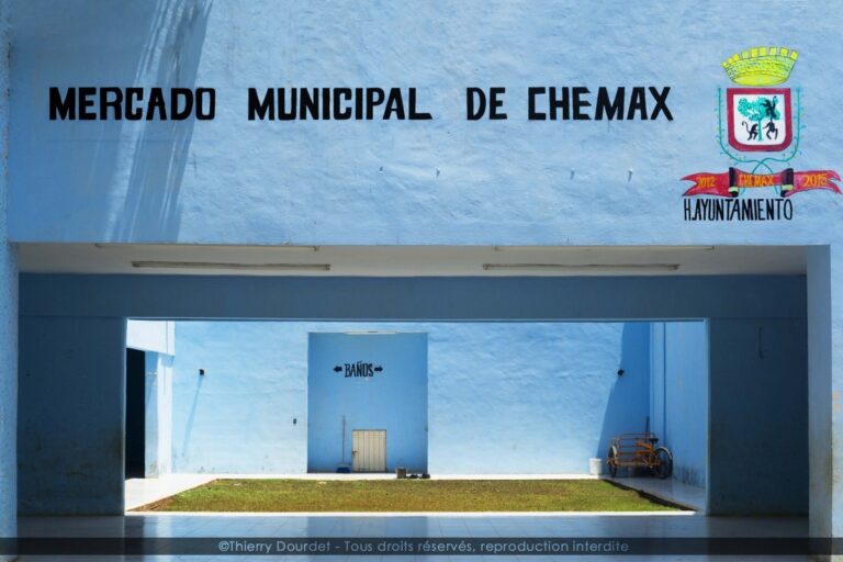 105 - MERCADO MUNICIPAL CHEMAX - MEXIQUE - Valladolid