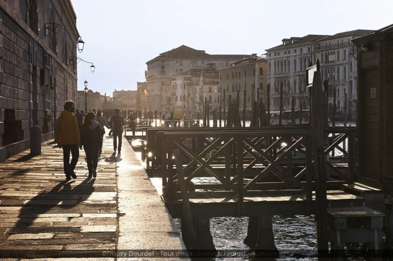 120 - FONDAMENTA DOGANA ALLA SALUTE - ITALIE - Venise