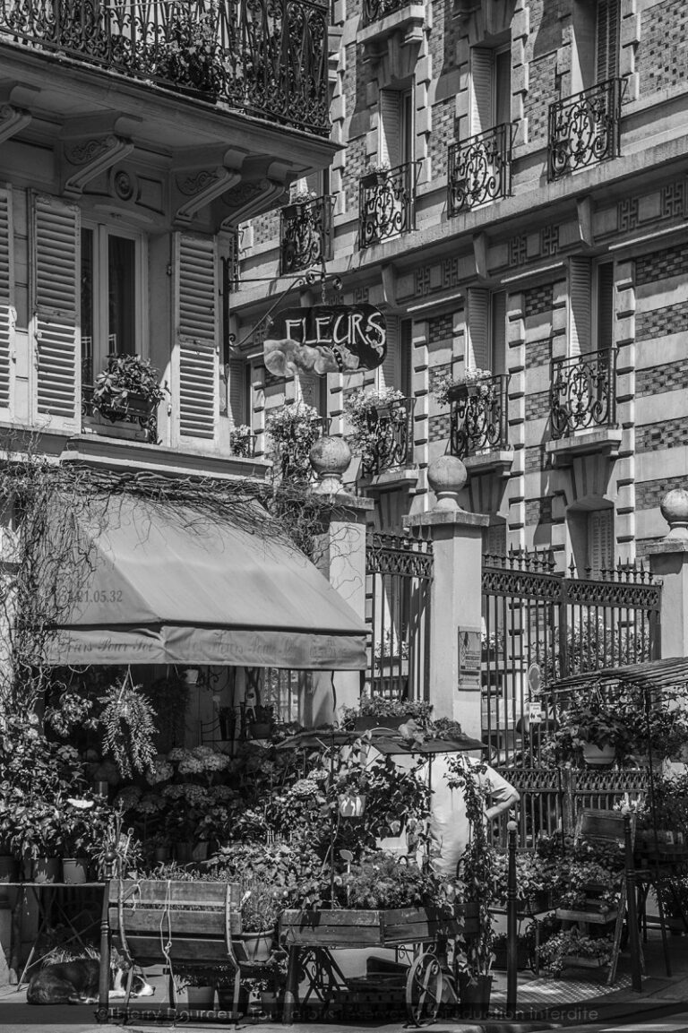 132 - FLEURISTE DOG - FRANCE - Paris