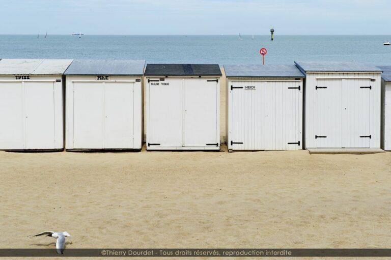 149 - LA MOUETTE - BELGIQUE - Knokke Zoute