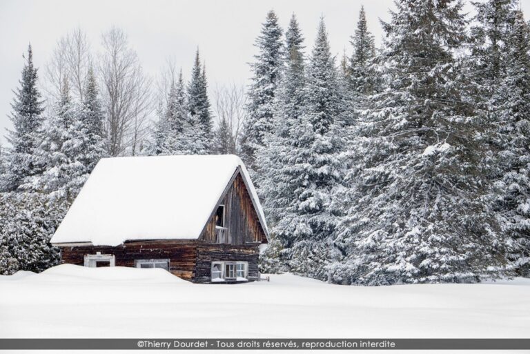 157 - BLANC - CANADA - St Alexis des Monts