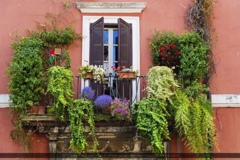 173 - FIORI DA BALCONE - ITALIE - Rome