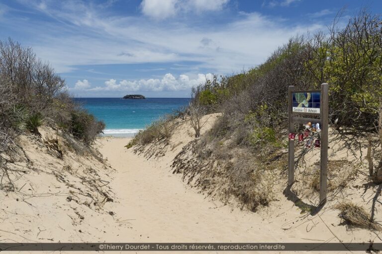 175 - ST BARTH BLUE - FRANCE - St Barth