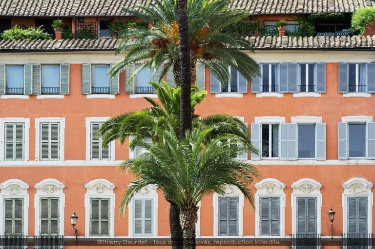 177 - PALME - ITALIE - Rome