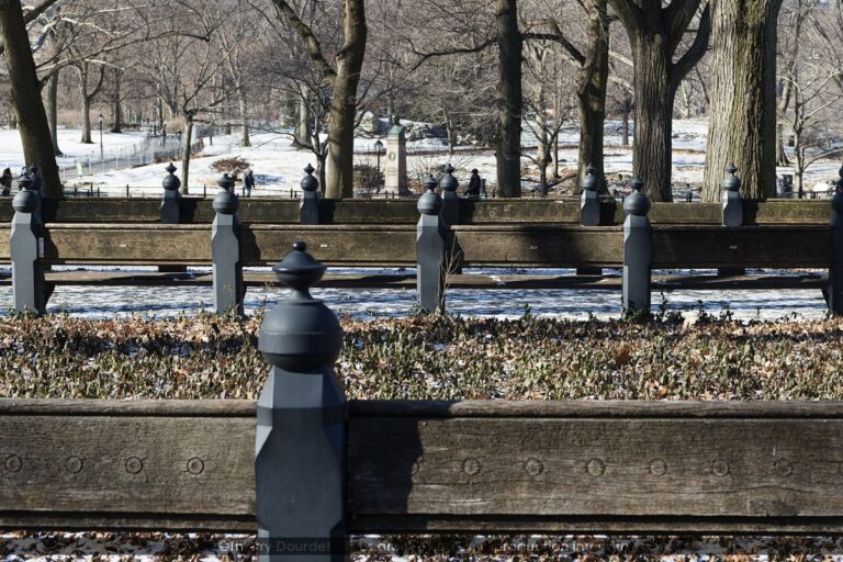 218 - CENTRAL PARK BANKS - USA - New-York