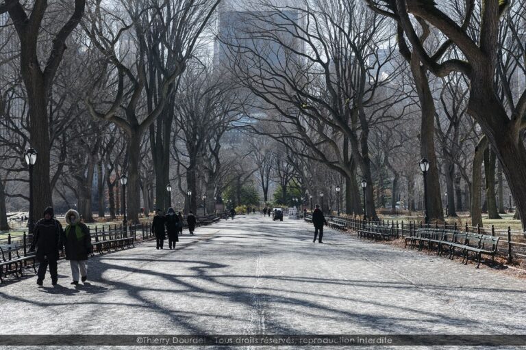 219 - CENTRAL PARK - USA - New-York