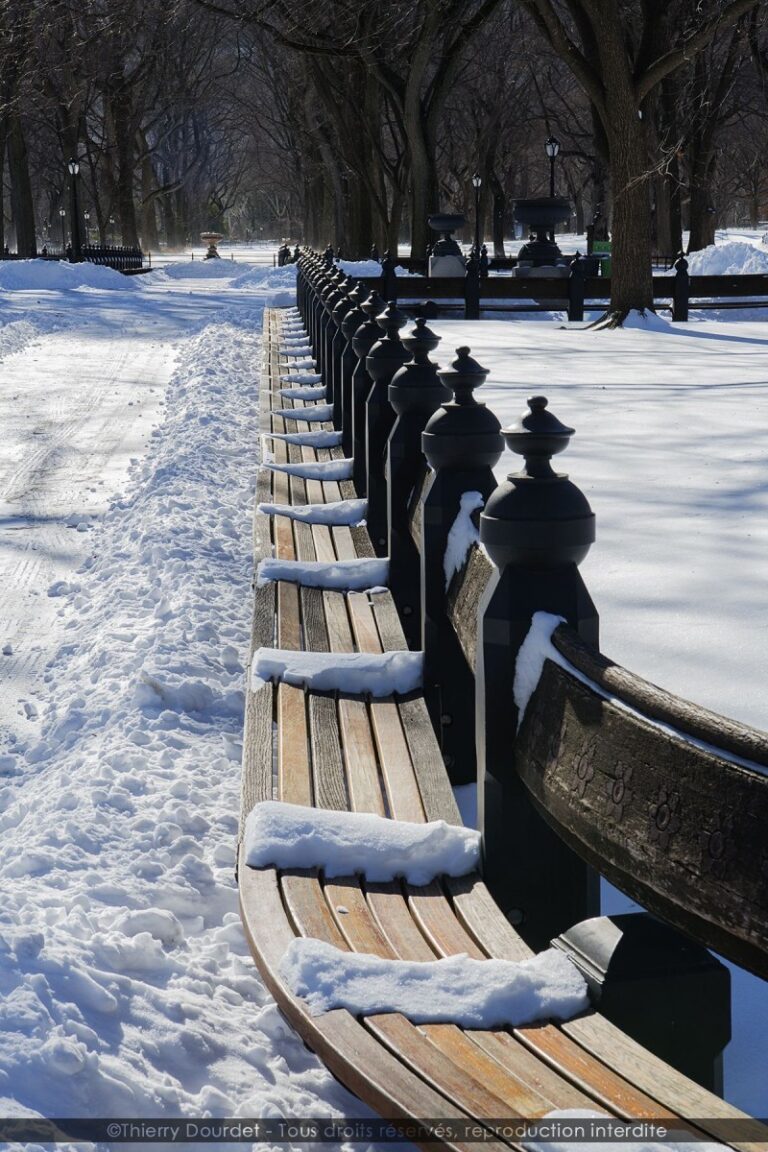 240 - SNOW BANKS - USA - New-York