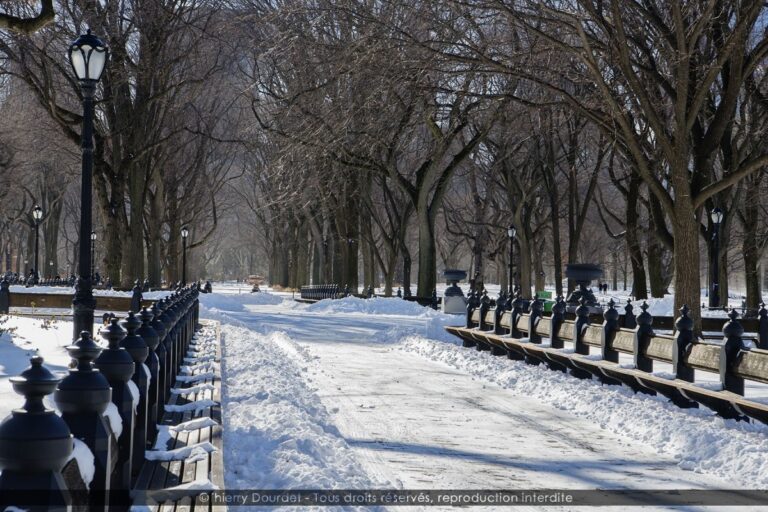 241 - CENTRAL PARL SNOWFALL - USA - New-York