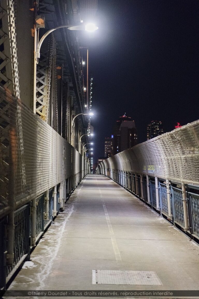 245 - BROOKLYN BRIDE - USA - New-York