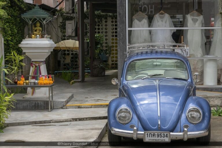 262 - COCCINELLE THAI - THAILANDE - Chang Mai