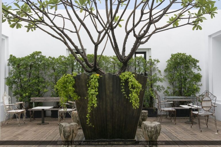 267 - TERRASSE OMBRAGEE - THAILANDE - Bangkok