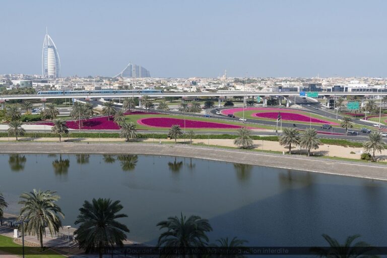 280 - PANORAMA SUR DUBAI - DUBAI - Dubai