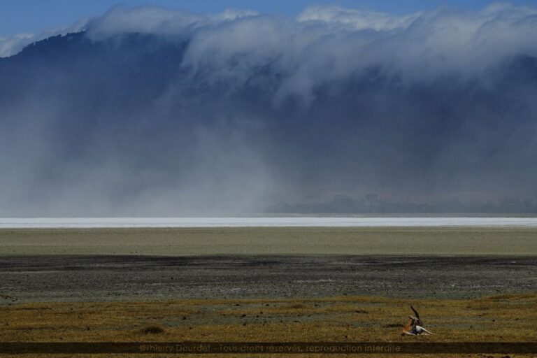 309 - NGORONGORO - TANZANIE - Région Ngorongoro