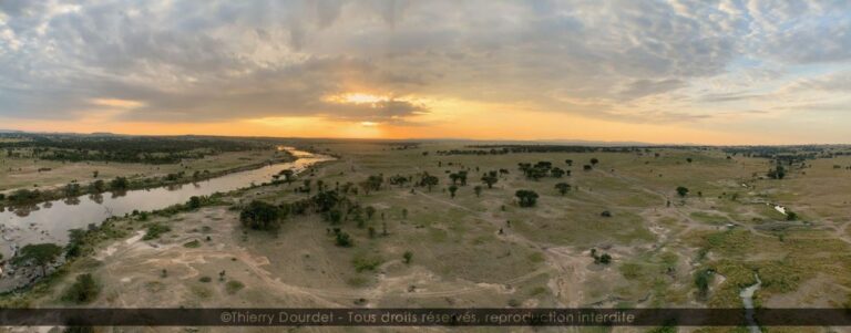 310 - UN REVE - TANZANIE - Plaine du Serengeti