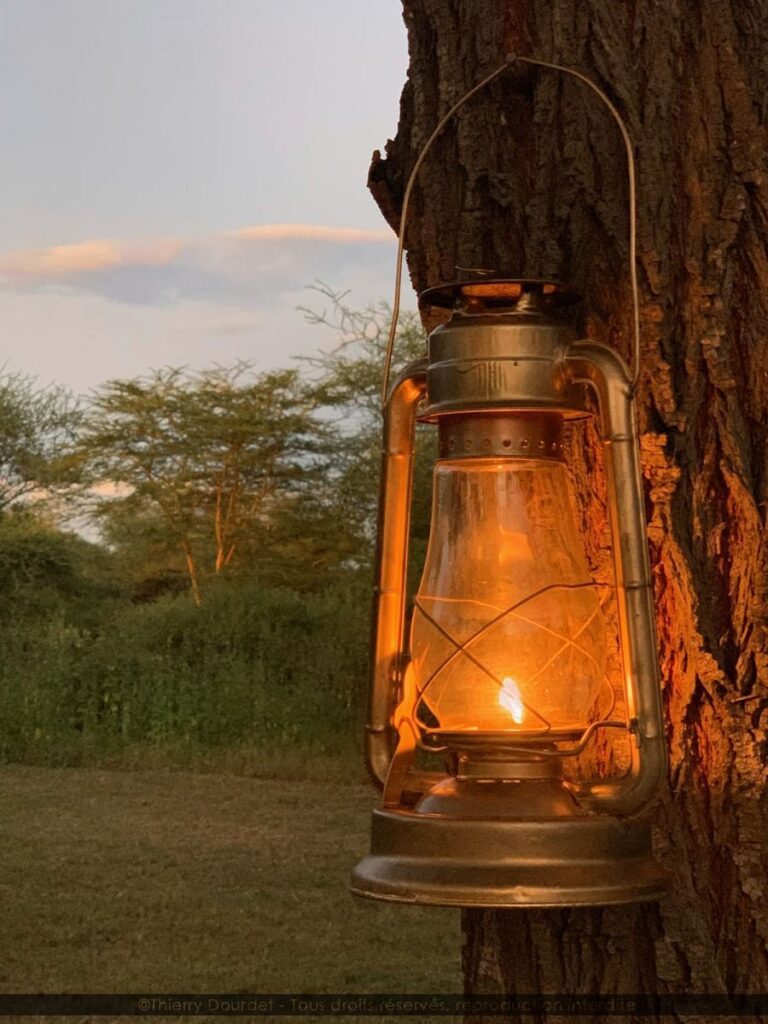 311 - OUT OF AFRICA - TANZANIE - Plaine du Serengeti
