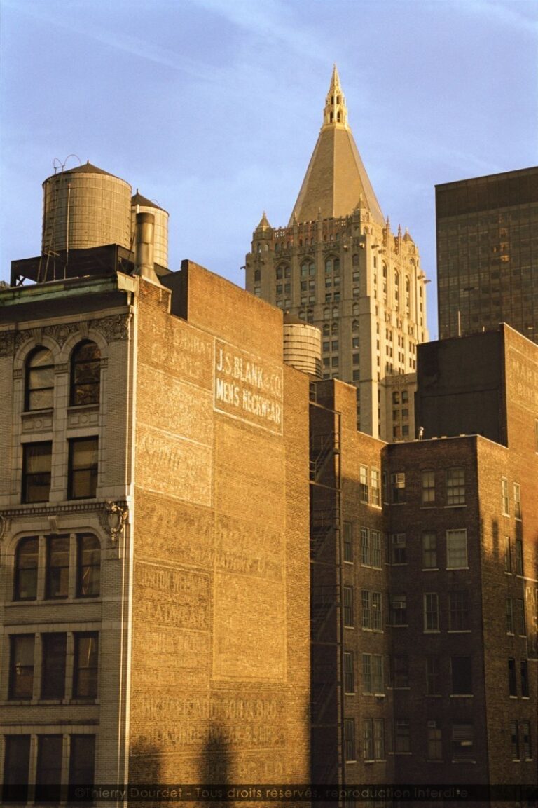 33 - SHADOW - USA - New-York