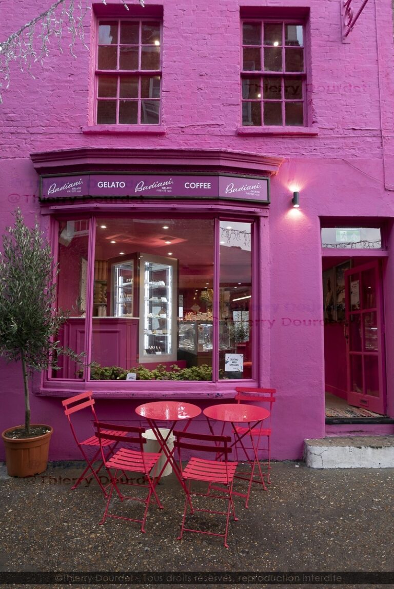342 - PINK HOUSE - GRANDE BRETAGNE - Londres - novembre 2021