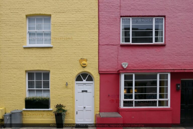 346 - YELLOW RED - GRANDE BRETAGNE - Londres - novembre 2021