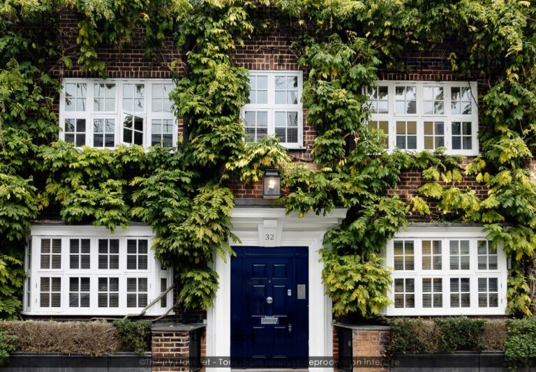 347 - LONDON CAMPAIGN - GRANDE BRETAGNE - Londres - novembre 2021