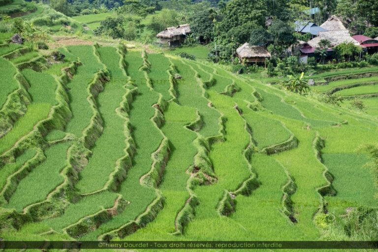 373 - RIZIERES - VIETNAM - Pu Luong