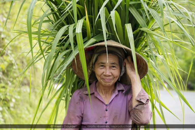 375 - COURAGEUSE - VIETNAM - Pu Luong