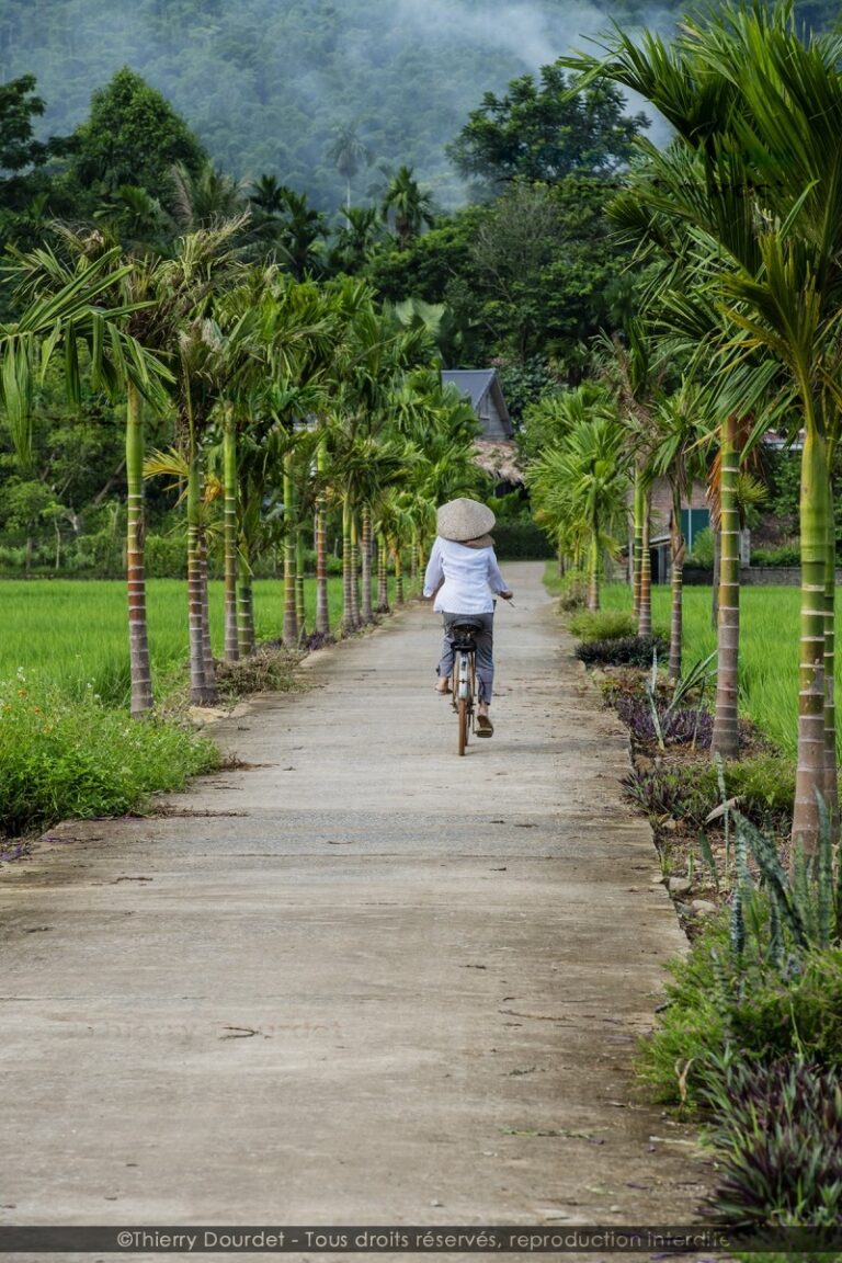 377 - UN AIR D'INDOCHINE - VIETNAM - Pu Luong