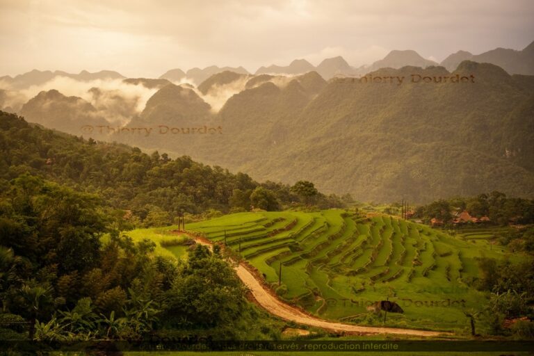 381 - UN REVE - VIETNAM - Pu Luong