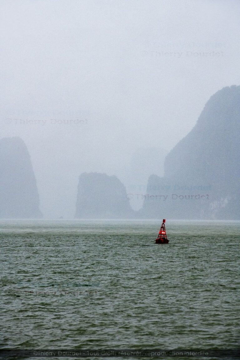 386 - LA BAIE IMAGINAIRE - VIETNAM - Baie Tu Long