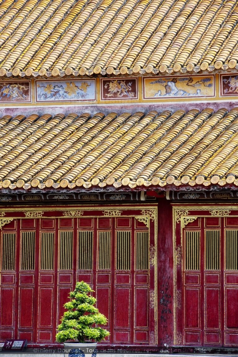 397 - BONZAI - VIETNAM - Hue
