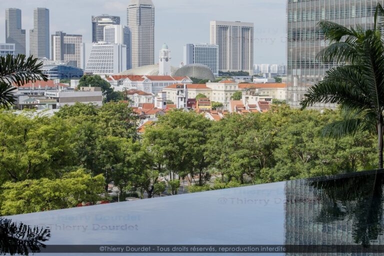 417 - PISCINE AVEC VUE - SINGAPOUR - Singapour - août 2022