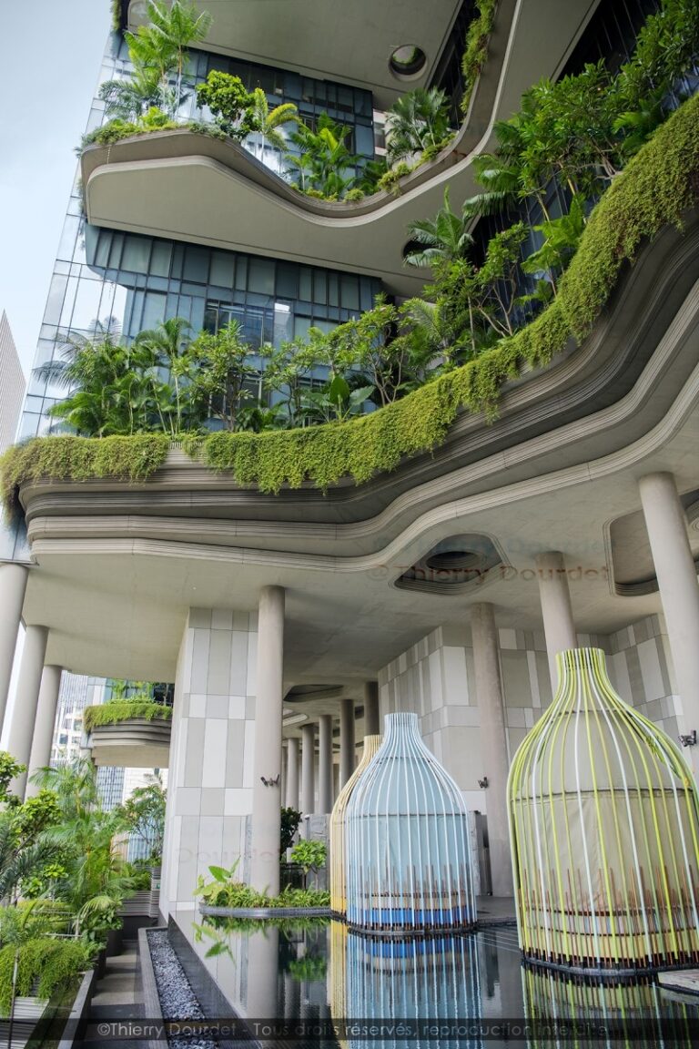 418 - HOTEL VERT - SINGAPOUR - Singapour - août 2022