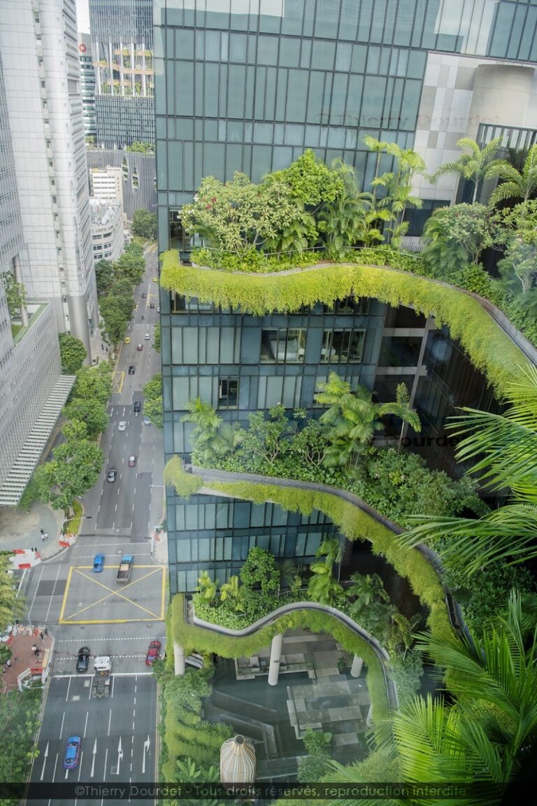 419 - NY SINGAPOUR - SINGAPOUR - Singapour - août 2022