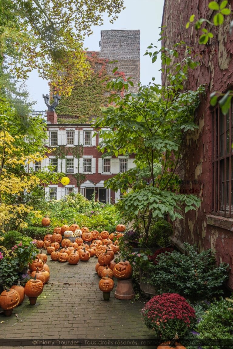 440 - ALLOWEEN STRIPS - USA - New-York