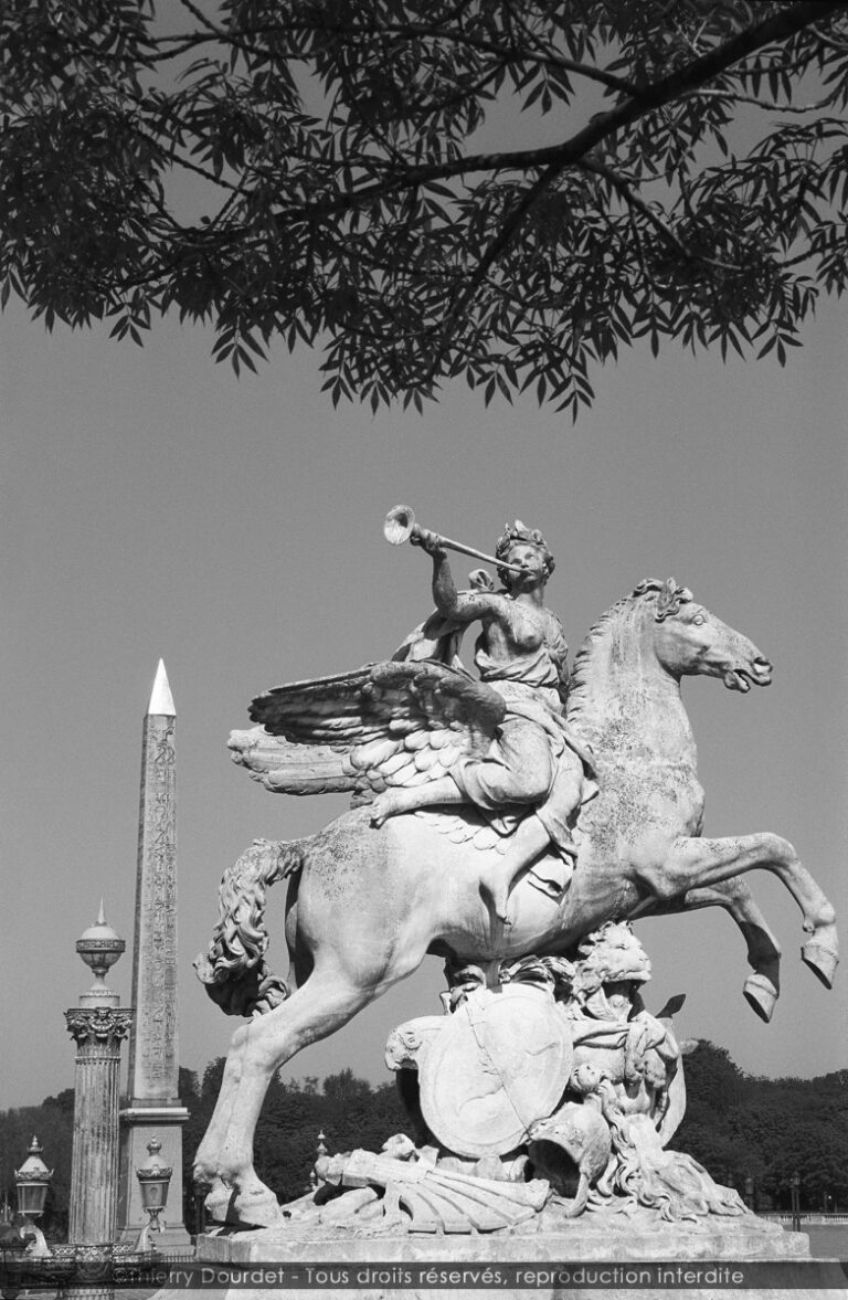 46A - CHEVAUX DE MARLY - FRANCE - Paris
