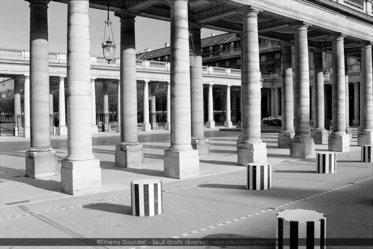 46F - PALAIS ROYAL - FRANCE - Paris