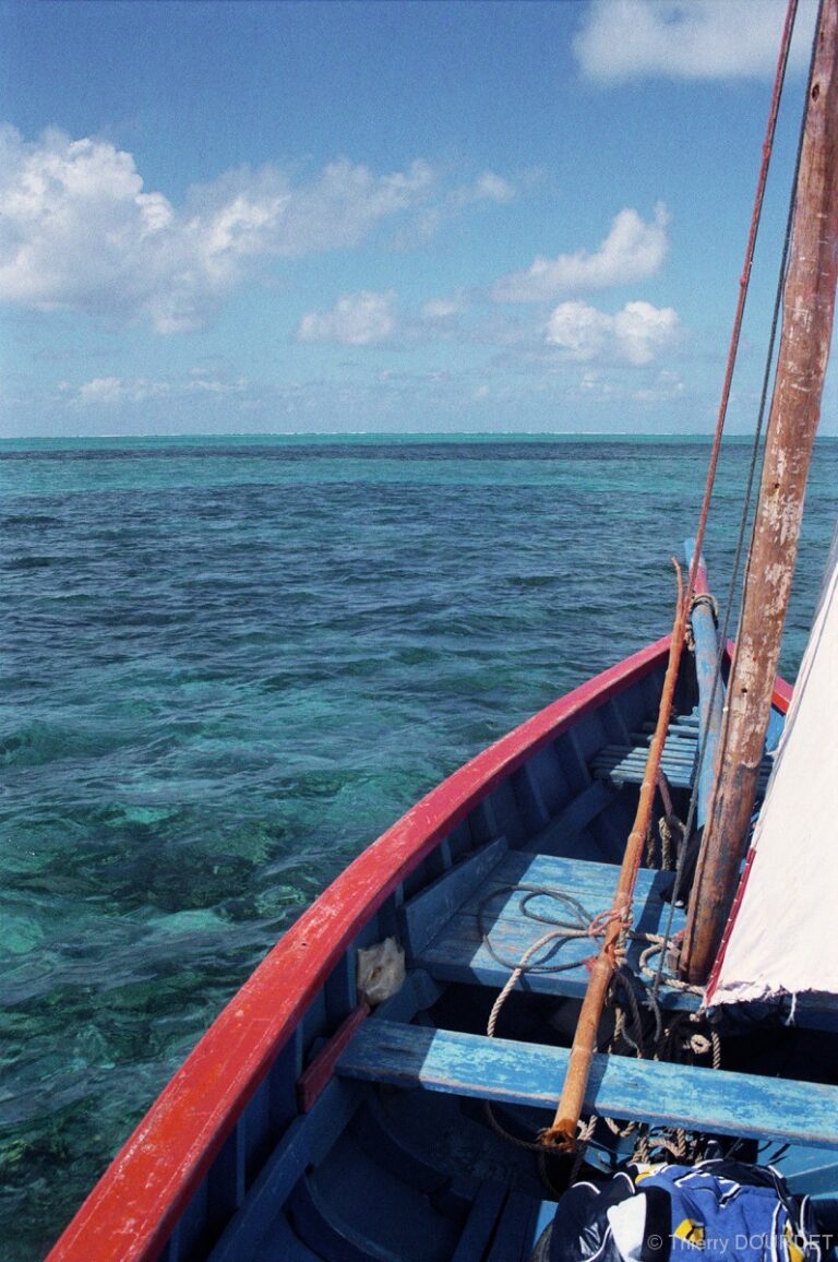5 - COULEURS - FRANCE - Martinique