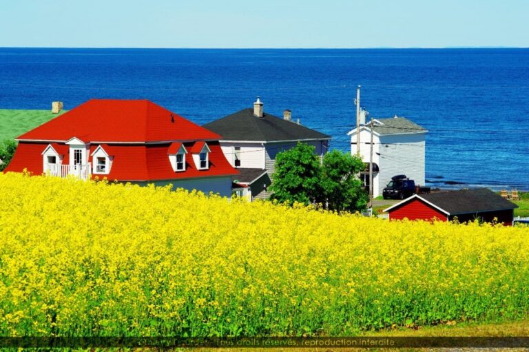 70 - SAINT LAURENT - CANADA - Carleton sur Mer