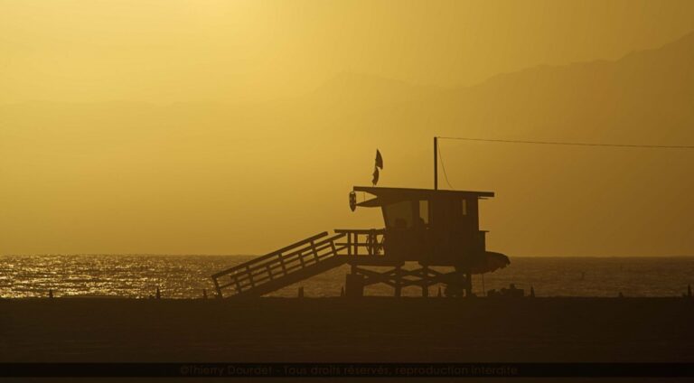 84 - LIFEGUARD - USA - Los Angeles
