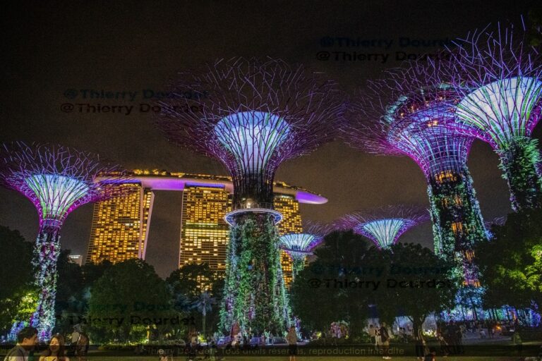 423 - JARDIN MARINA BAY SANDS BLEU - SINGAPOUR - Singapour