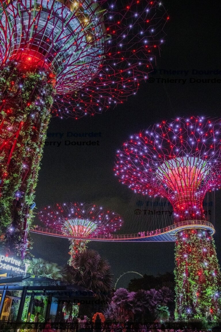 422 - JARDIN MARINA BAY SANDS ROUGE - SINGAPOUR - Singapour