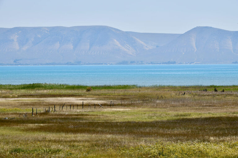 559 - Etats-Unis - Parc de Yellowstone - Août 2025