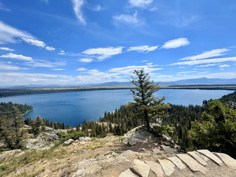 561 - Etats-Unis - Parc National de Grand Teton - Août 2025