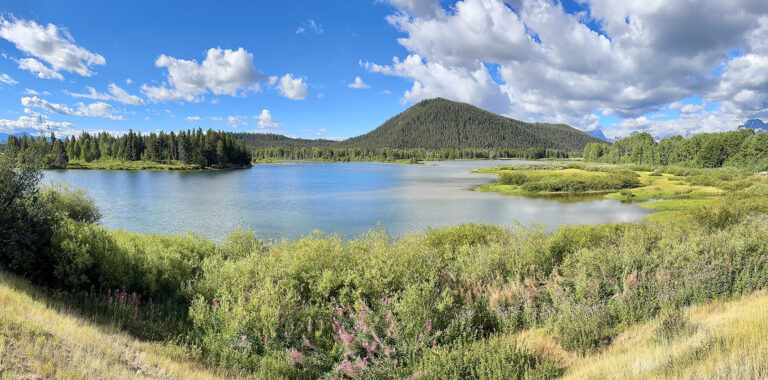 566 - Etats-Unis - Parc National de Grand Teton - Août 2025