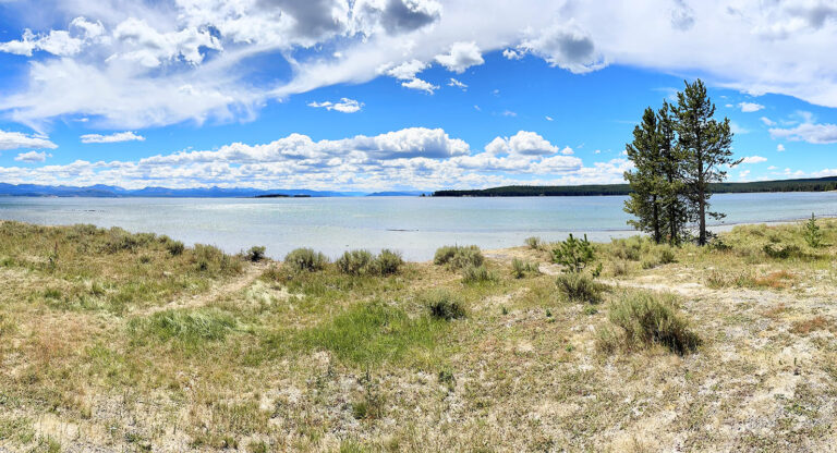 567 - Etats-Unis - Parc de Yellowstone - Août 2025