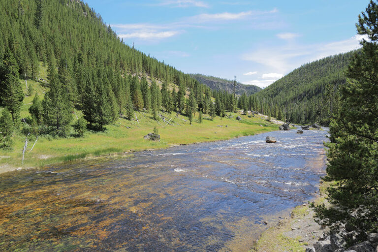 568 - Etats-Unis - Parc de Yellowstone - Août 2025