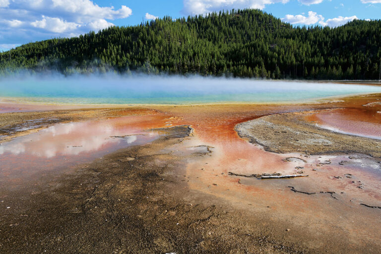 571 - Etats-Unis - Parc de Yellowstone - Août 2025