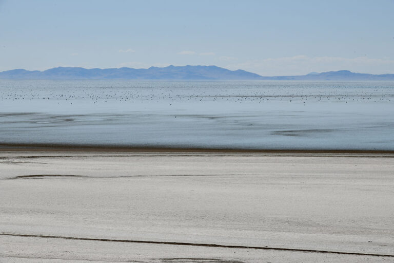 579 - Etats-Unis - Salt Lake - août 2025