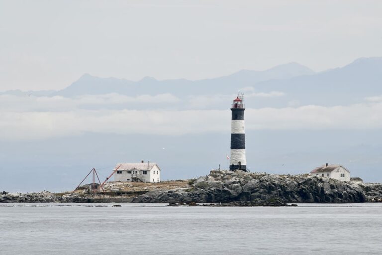 592 - Canada - Tofino - août 2025