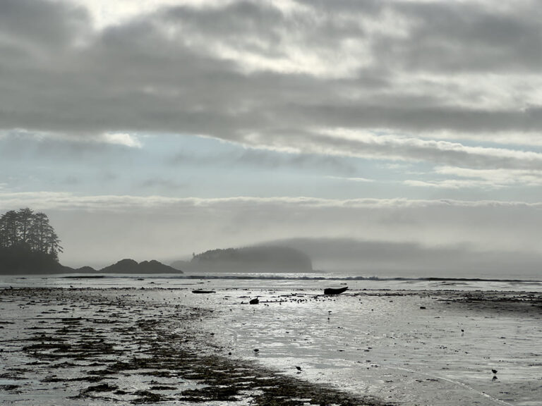593 - Canada - Tofino - aout 2025