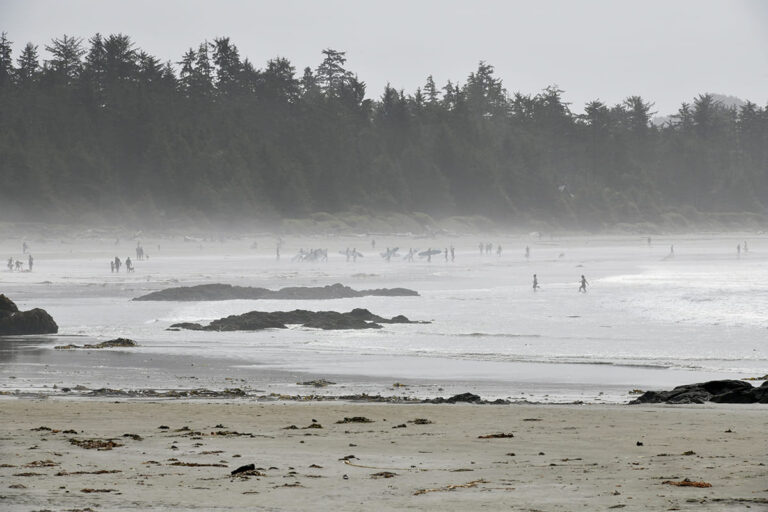 594 - Canada - Tofino - août 2025